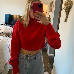 Red turtle neck